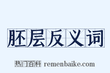 胚层反义词是什么意思的图片